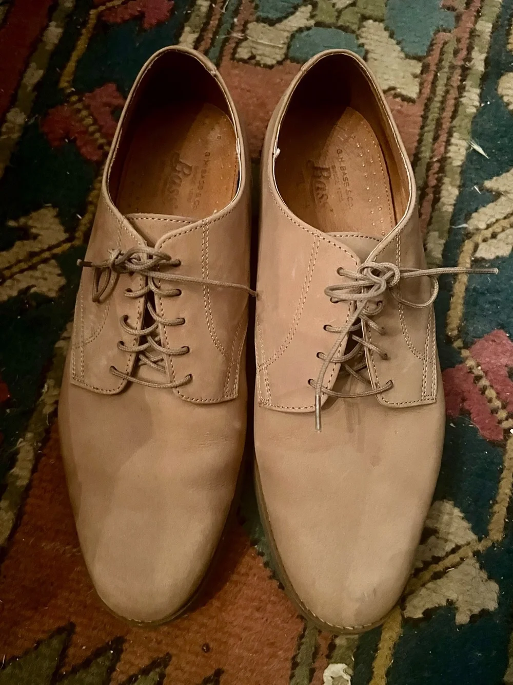 Bass Nubuc Cambridge lace up men’s shoes, size 11